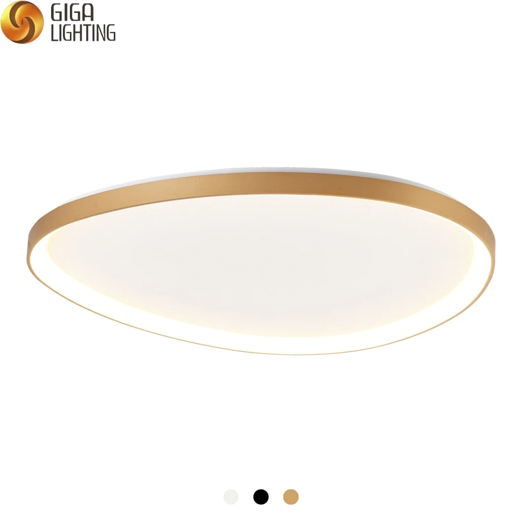 Modern Nordic LED Interior Lighting Golden Brushed Ceiling Lamp LED Ceiling Light for Living Room
