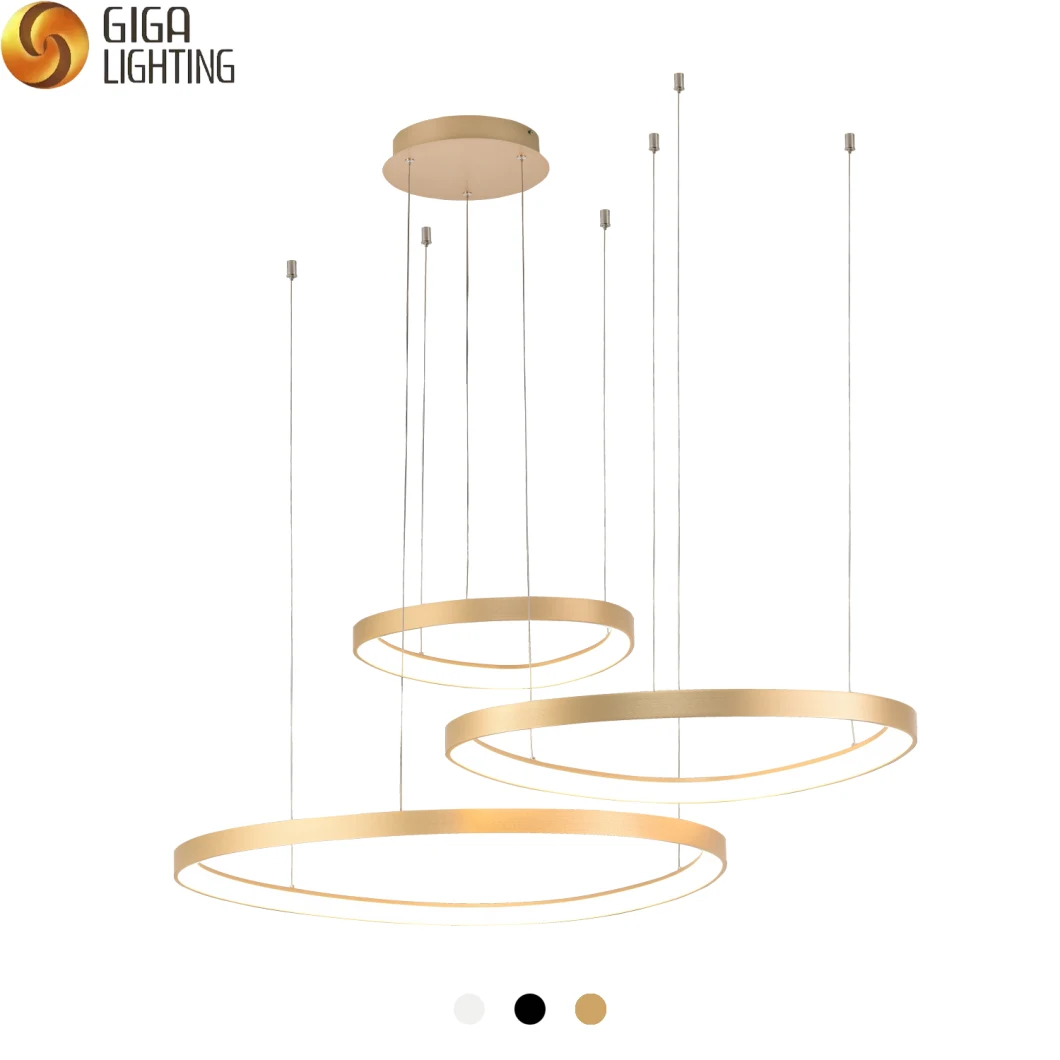 Modern Nordic LED Interior Lighting Golden Brushed Ceiling Lamp LED Ceiling Light for Living Room