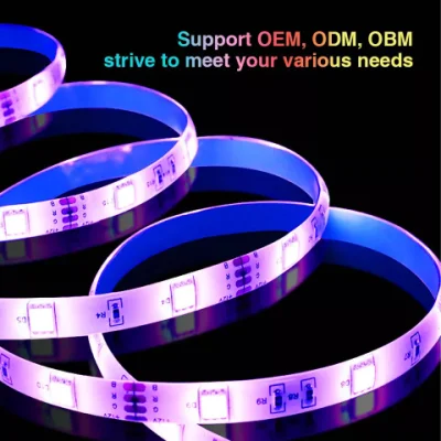 Support OEM 10m for Car with Remote Interior Car White 5050 USB LED Strip Light